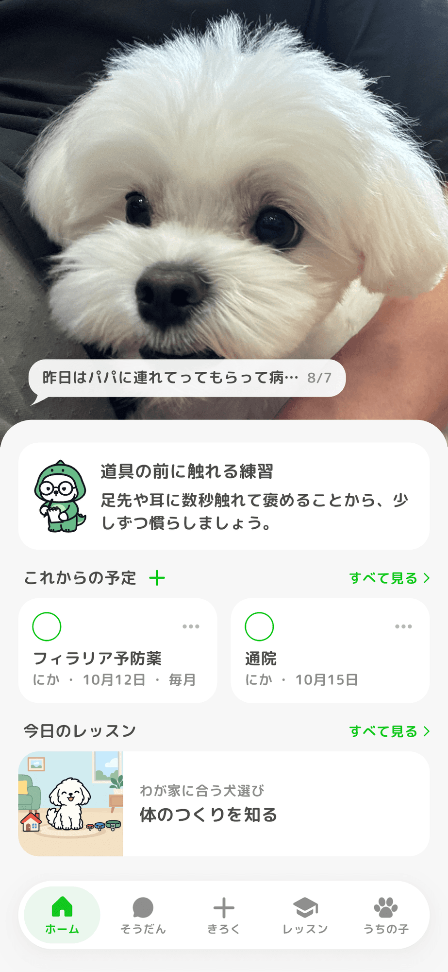 ホームの画面です。うちの子の写真の下に、イヌプラ先生のひとこと・これからの予定・今日のレッスンが並んでいます。