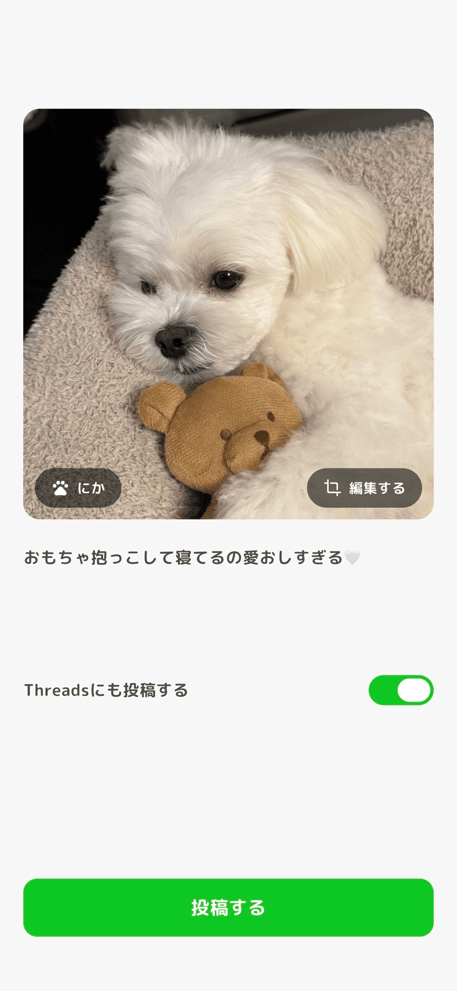 写真を記録する画面です。うちの子の写真にキャプションを付けて、「Threadsにも投稿する」をオンにしています。