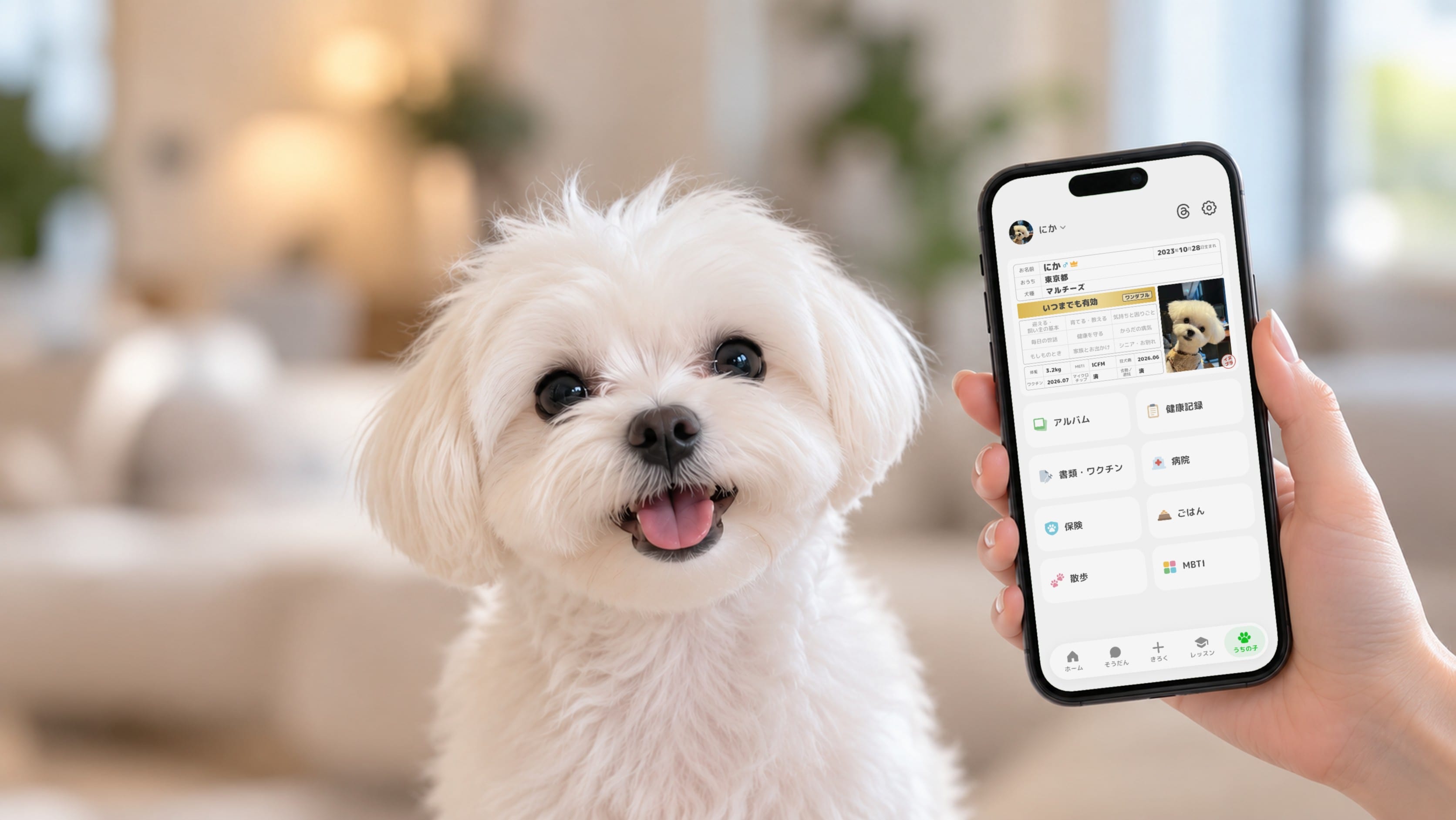 白いマルチーズがうれしそうにこちらを見ています。手に持ったスマホには、イヌプラの「うちの子」の画面が映っています。